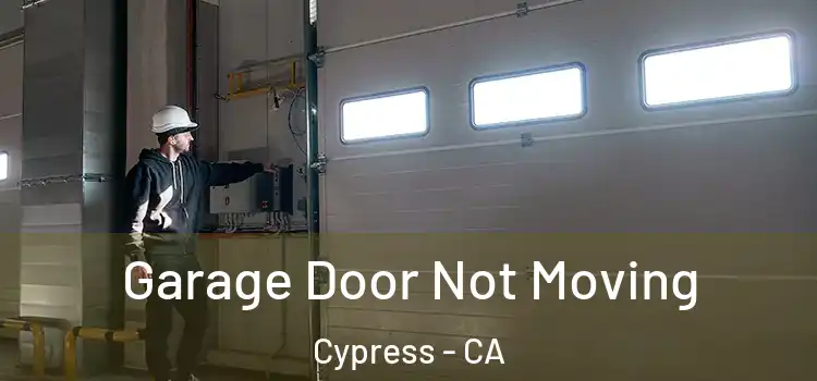  Garage Door Not Moving Cypress - CA