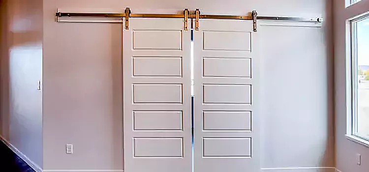 Glass Barn Door with Installation Hardware Kit Cypress